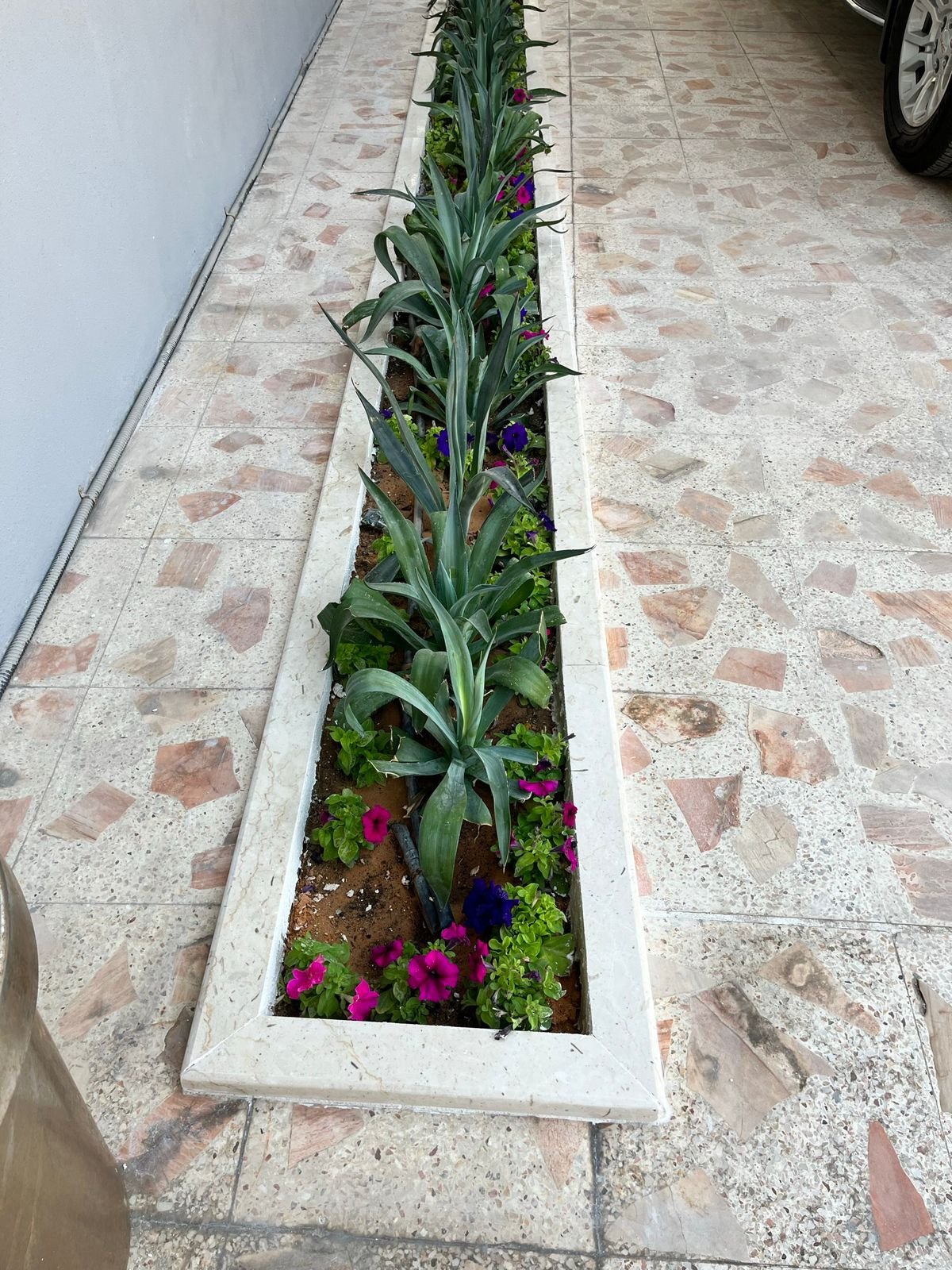 أحواض زراعية أحواض زراعية